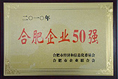 雄峰被評(píng)為合肥企業(yè)50強(qiáng)